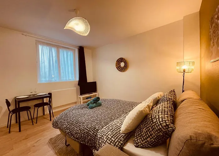 Le Petit Gervais - 289 Apartment Rouen